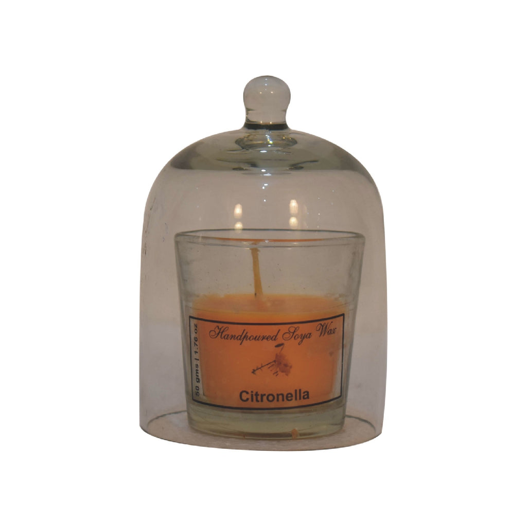 candles, includes Citronella, Summer Tides and Lemongrass