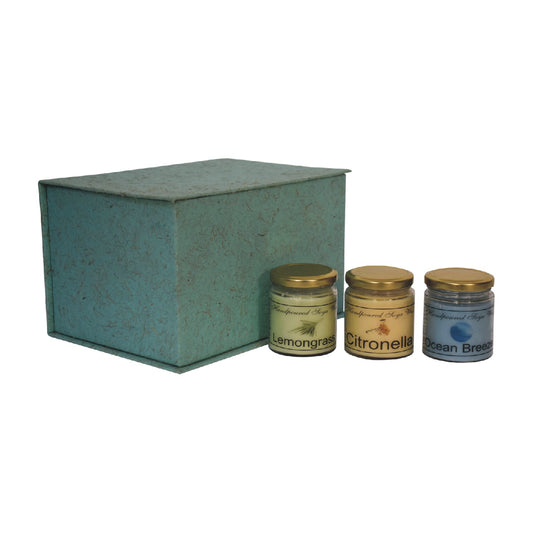 Set of 3 scented candles, includes Lemongrass, Citronella, Summer breeze. ll set in front of a gift box and on a white background