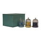 gift box set of 3 dome-shapaed jars with ocean breeze, citronella and lavender candles inside. set on a white background.