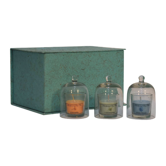 set of 3 candles, includes Citronella, Summer Tides and Lemongrass in a gift box